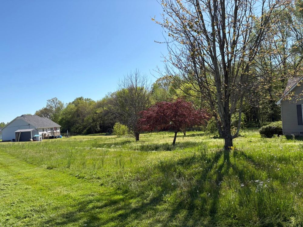 All Photos for Platinum Lawncare in Fayetteville, TN