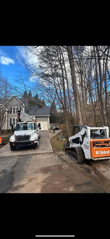 All Photos for AB Tree Service in Raleigh, NC