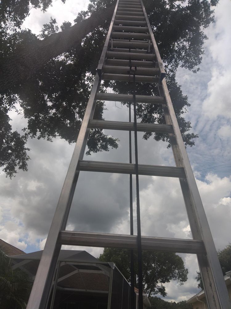 All Photos for Bills Tree Service in Valrico, FL