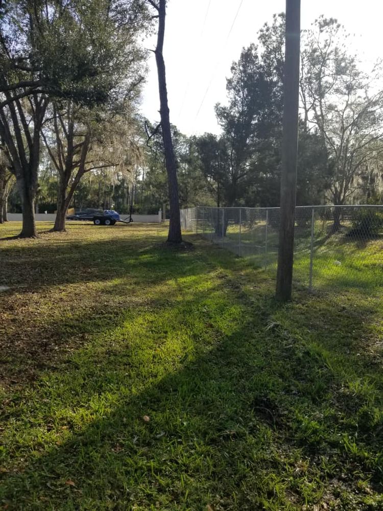 All Photos for Nick of Time Tree Service in North Port, FL