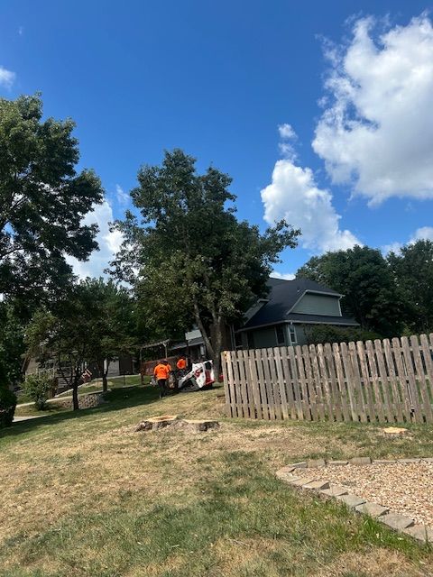 All Photos for Cross Family Tree Service in Kearney, MO