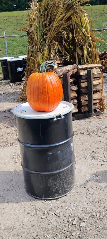 All Photos for BAM Another Pinestraw Lot in Flowery Branch, GA