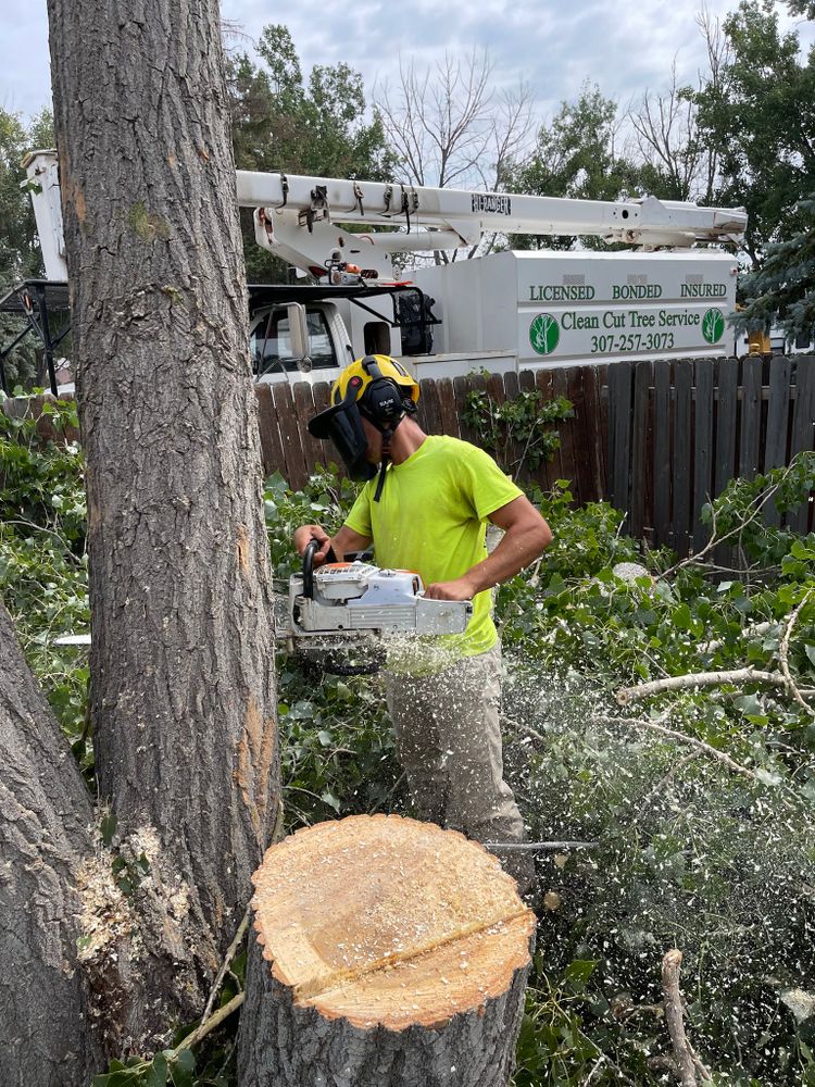 Other Services for Clean Cut Tree Service in Gillette, WY