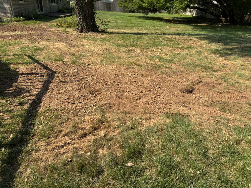 All Photos for Conrad's Stump Removal in Columbus, IN