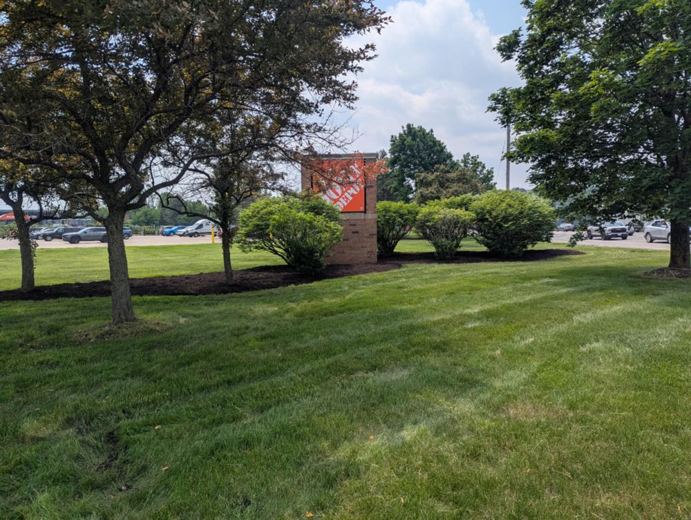 All Photos for Puleo Landscape LLC in Chittenango , NY