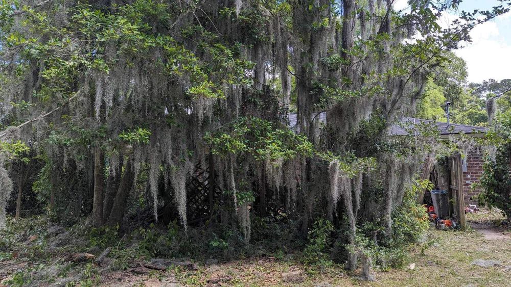 Our land clearing and site preparation service efficiently clears away debris, trees, and vegetation to create a clean slate for landscaping projects. We also haul debris from project sites and storm damage debris. for Coastalscapes Landscaping & Turf Management  in Savannah, GA