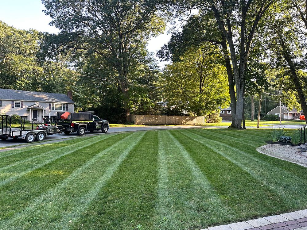 Lawn Care for Picano Landscaping in Reading, MA