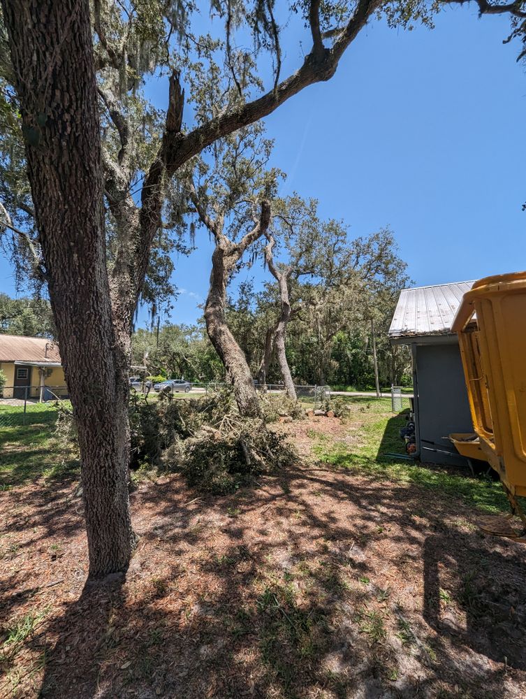 All Photos for Regal Tree Service and Stump Grinding in Wauchula, FL