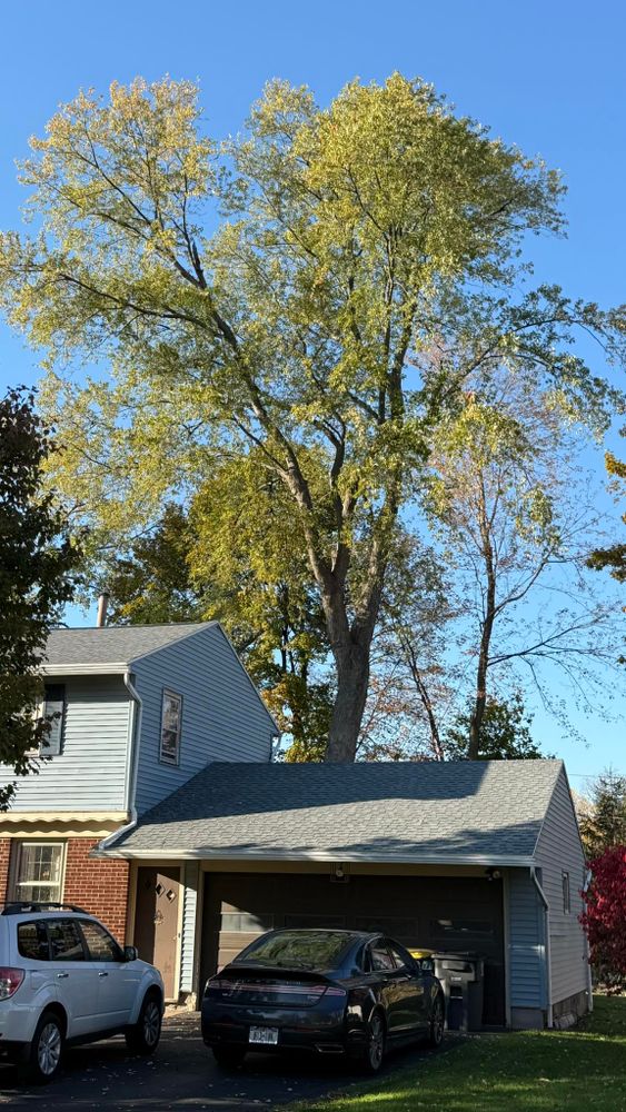 All Photos for Minnesota Seasonal in Corcoran, MN