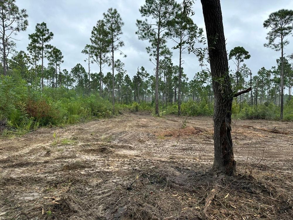 All Photos for White’s Land Maintenance in Milton,, FL