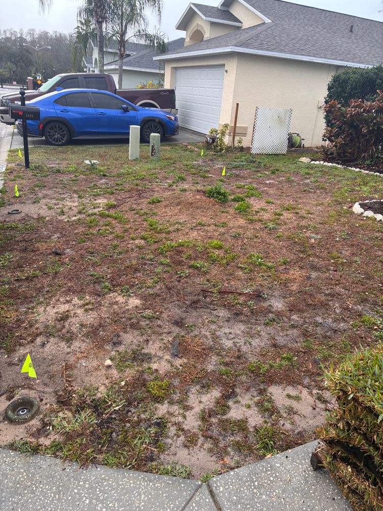 All Photos for Gulf Bay Sod in Clearwater, FL