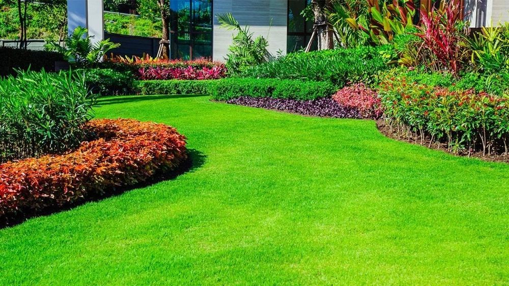 Lawn Care for ALOV Landscaping in Stockton, CA