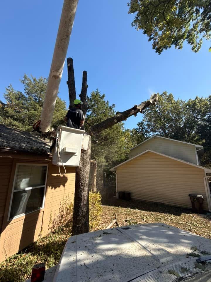 All Photos for H n H Tree Service in Taneyville, MO