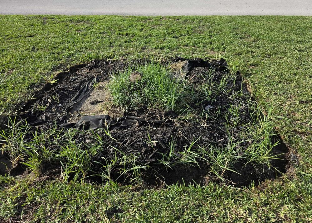 All Photos for KB’s Stump Removal in Seminole, FL