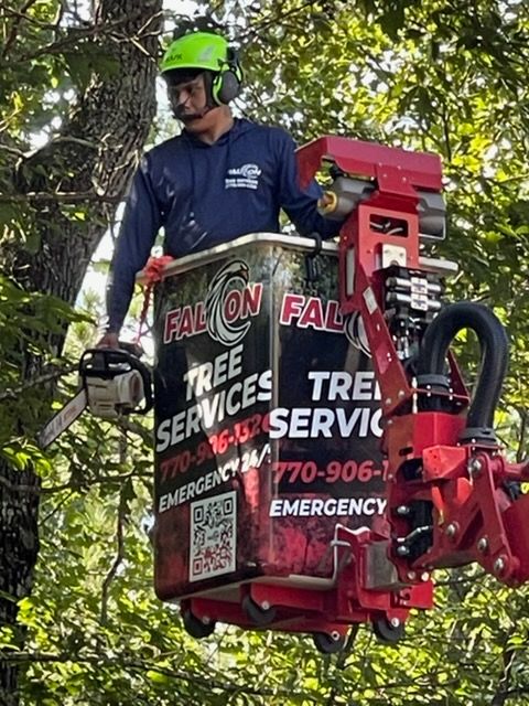 Enhance your property's beauty and safety with our expert tree trimming services. We meticulously trim branches to promote healthy growth, improve aesthetics, and prevent potential hazards, ensuring vibrant trees year-round. for Falcon stump grinding Tree services in Loganville, GA