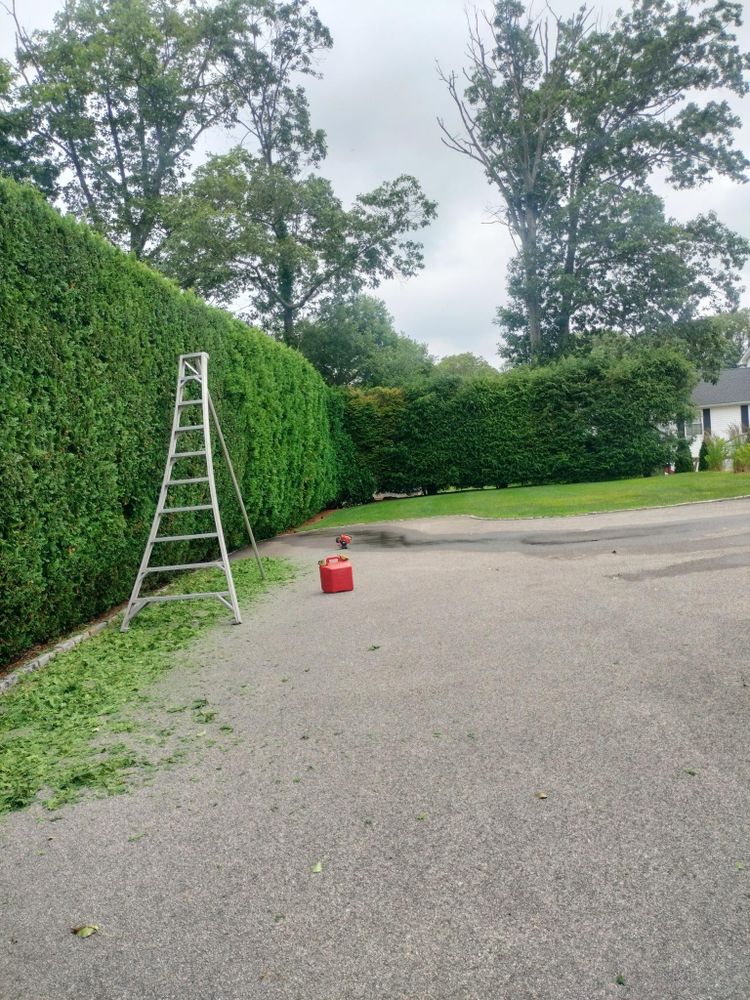 All Photos for CHACH Landscaping & Construction in Providence, RI