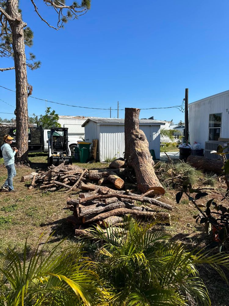 Tree Removal for MX Trees LLC in Englewood, FL