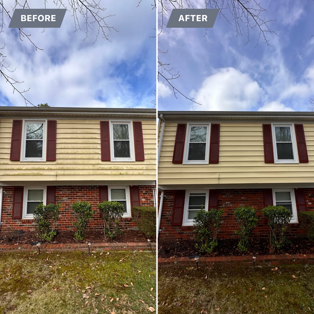 All Photos for LeafTide Solutions in Richmond, VA