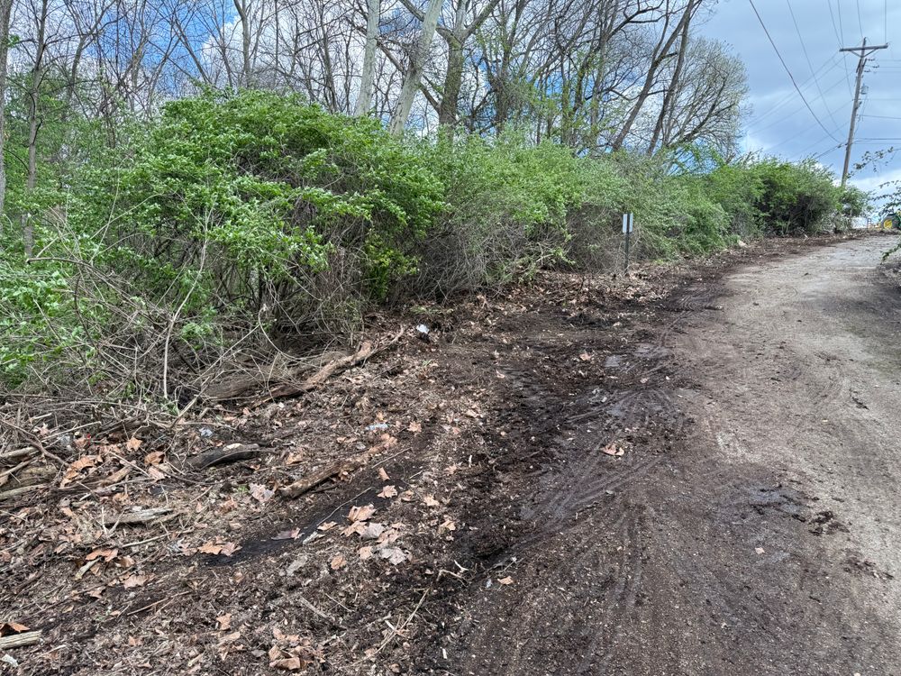 All Photos for A1 Bush Hogging & Lawn Service in London, OH