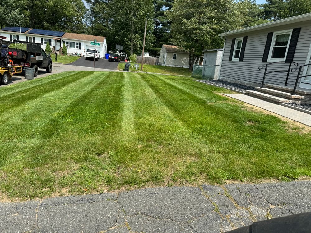All Photos for Adams Landscaping in Springfield, MA
