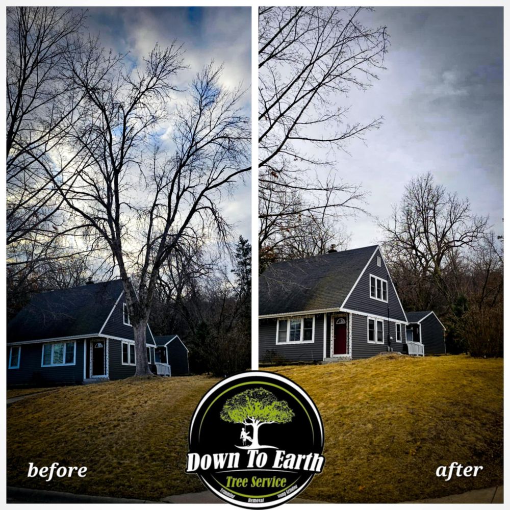 All Photos for Down To Earth Tree Service in Red Wing,  Minnesota