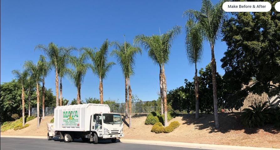All Photos for Maya Tree Service in La Puente, CA