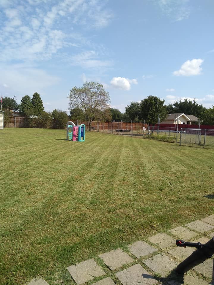 All Photos for Green City Landscape and Lawn Care LLC in Mesquite, TX