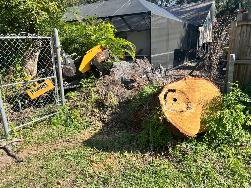All Photos for Greene Acres Stump Grinding in Plant City, FL