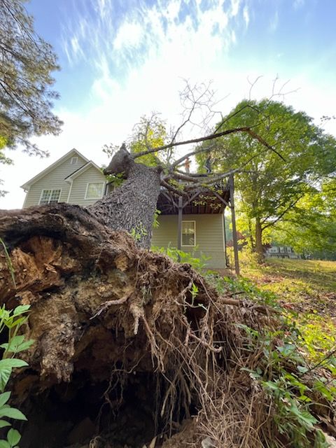 Our Storm Services offer rapid response tree care, focusing on removing damaged or fallen trees to ensure your home's safety and restore your property's beauty after severe weather events. for J&M Stump Grinders LLC in Douglasville, GA