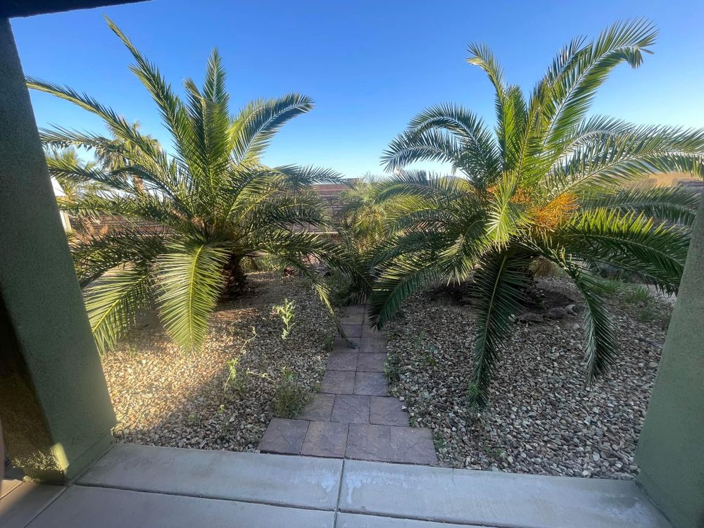 All Photos for Oliver L. Palm & Tree services in Yuma County, AZ