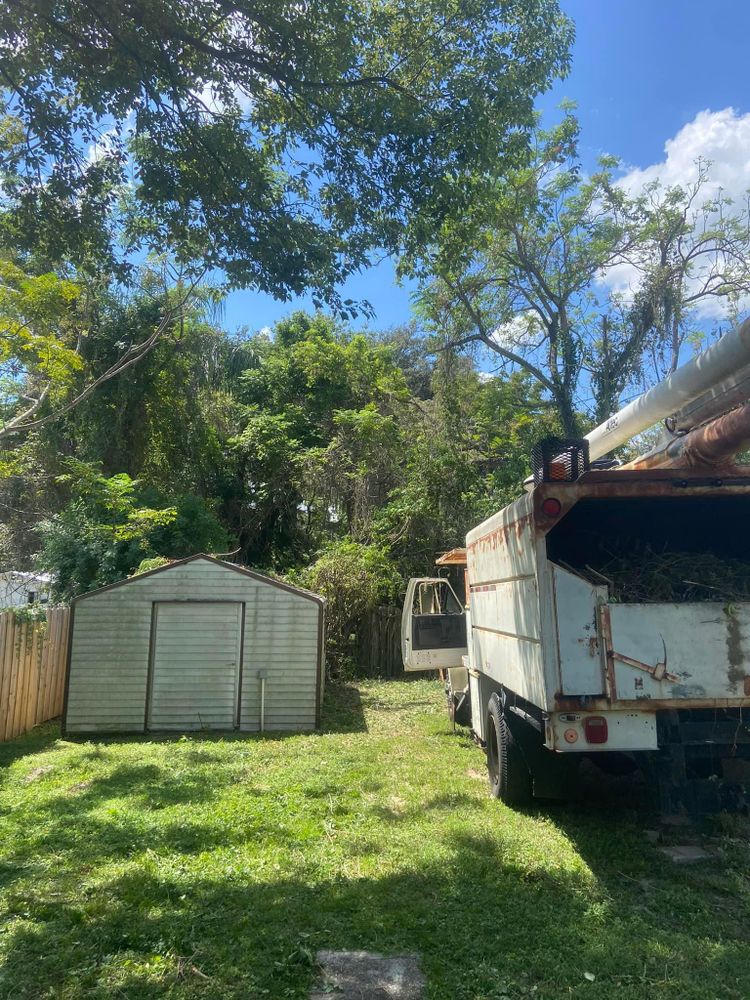 All Photos for Efficient and Reliable Tree Service in Lake Wales, FL