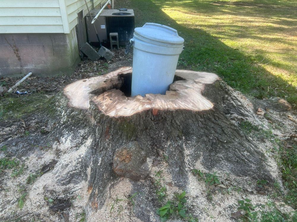 All Photos for McBee’s Tree Service in Sewanee, TN