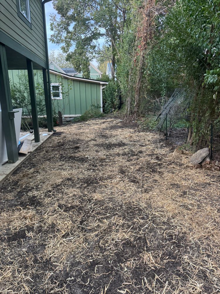 All Photos for Yardcall Solutions Tree & Landscaping Services in Durham, North Carolina