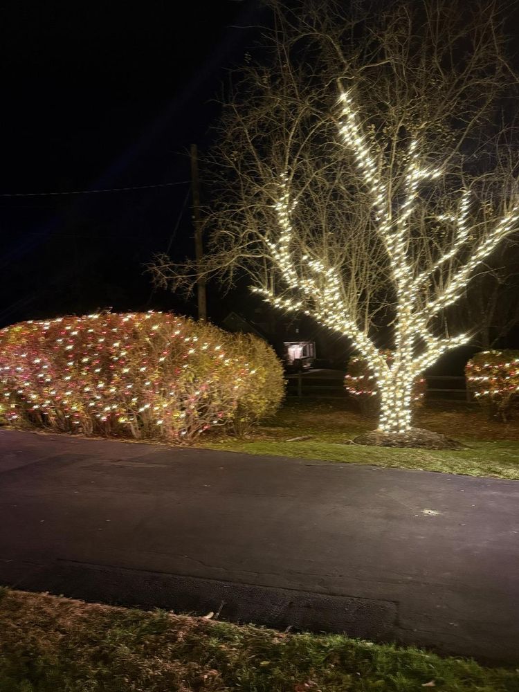 All Photos for Unique Outdoor Lighting in Short Hills, NJ