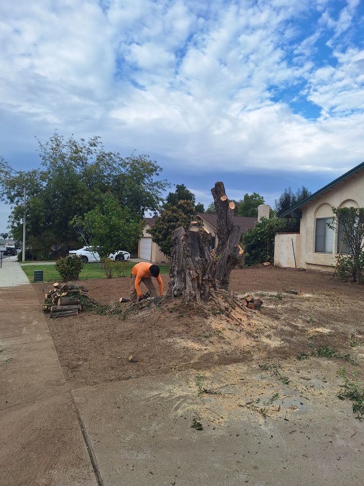 All Photos for Best Lawncare in Colton, CA