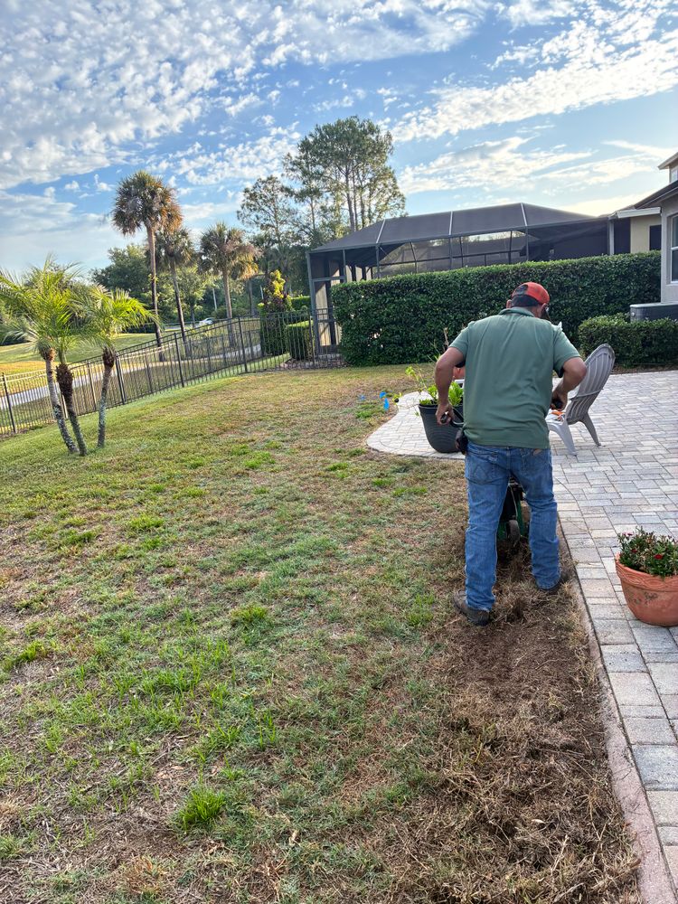 All Photos for Gulf Bay Sod in Clearwater, FL