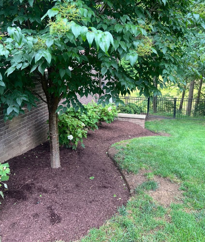 All Photos for Full Service Landscaping in Louisville, KY