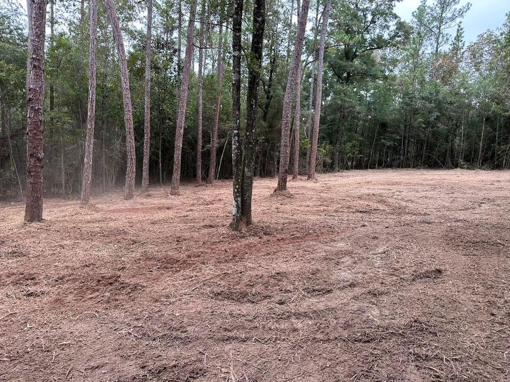 All Photos for White’s Land Maintenance in Milton,, FL