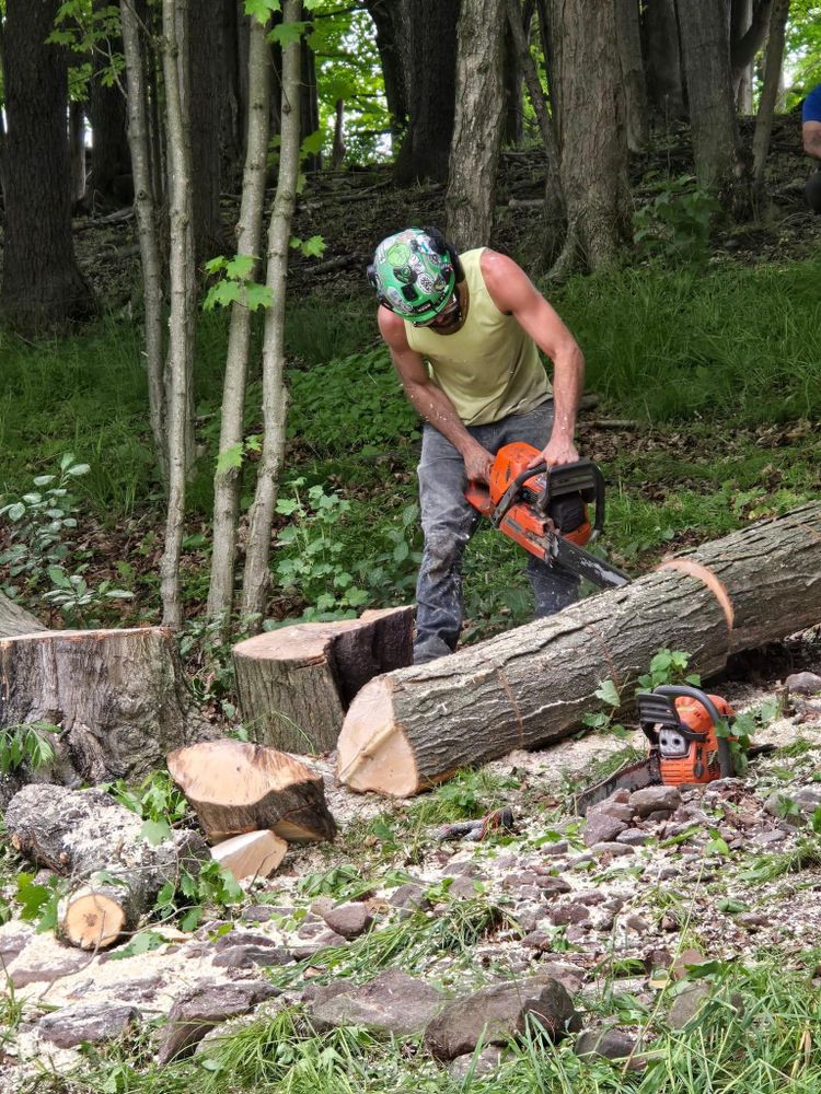 Tree Removal for Licensed to Cut in Athens, PA