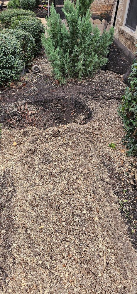 All Photos for Servin's Tree Care  in Houston, TX