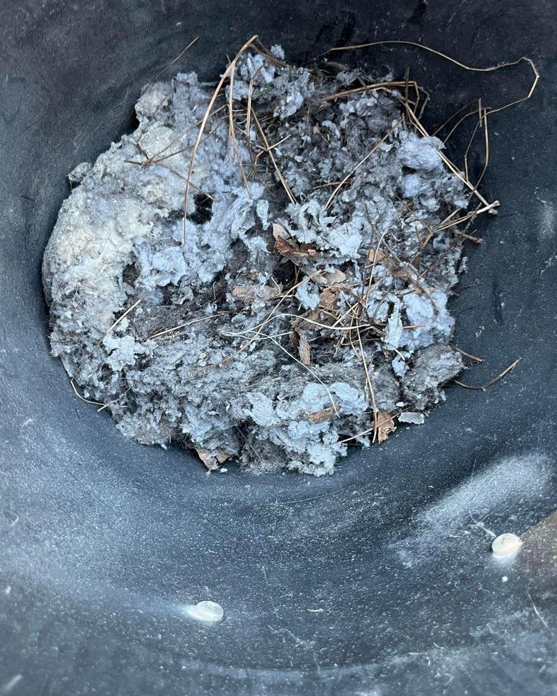 All Photos for Honey Do Oxford Pressure Washing and Soft Washing in Oxford, Mississippi