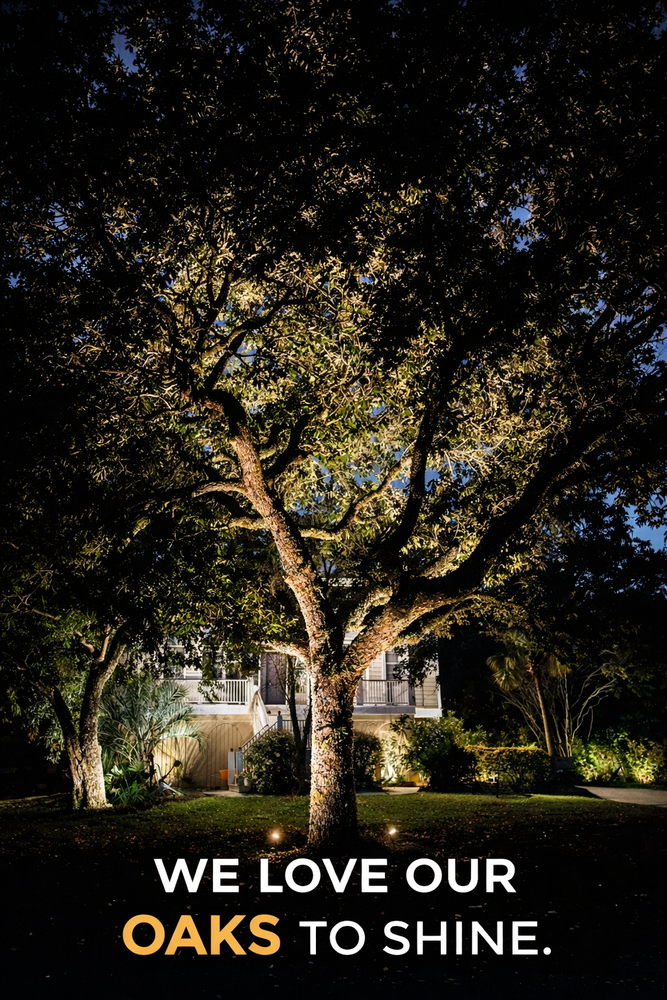 All Photos for Wheelhouse Irrigation and lighting in Charleston, South Carolina