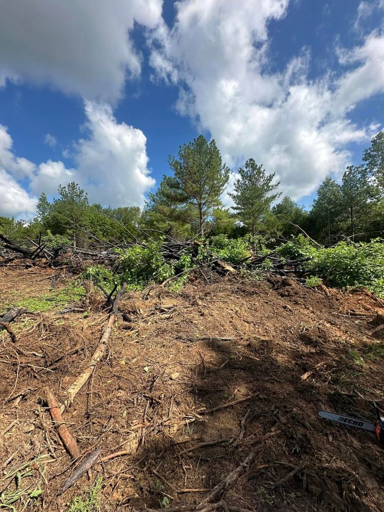 Land Clearing for Lanes Land Management in Fayetteville, TN