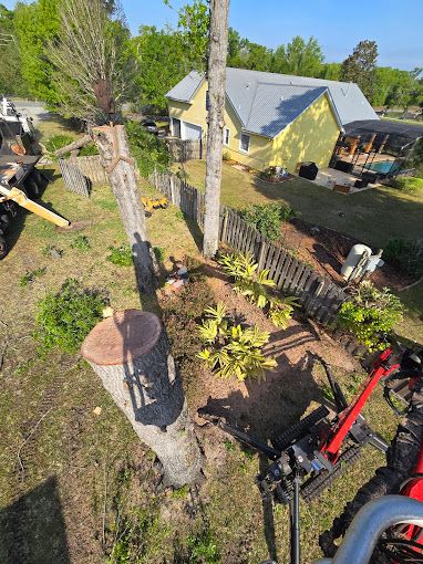 All Photos for Near Me Tree Service, Inc. in DeLand, FL