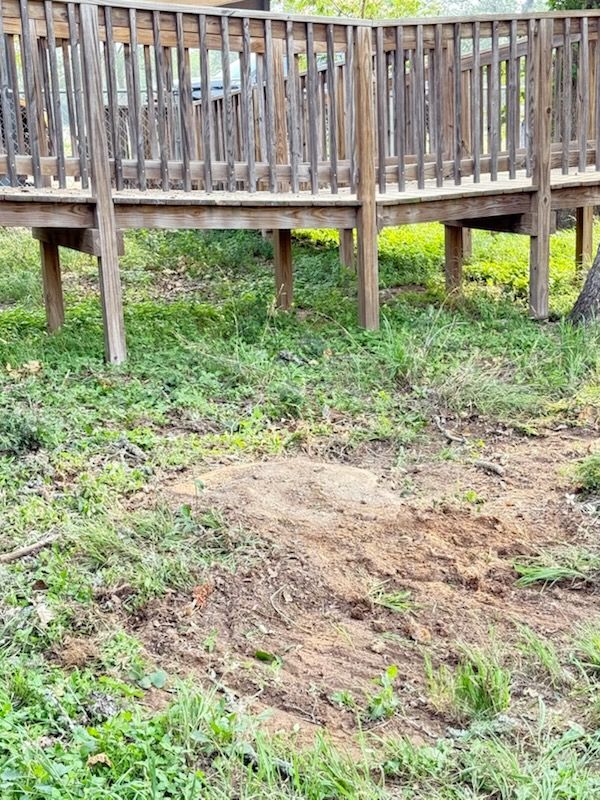 All Photos for Tomas Stump Grinding in Giddings, TX