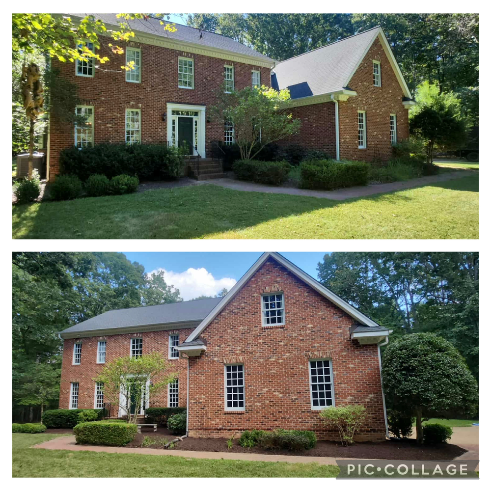 All Photos for Branch Out Tree Care LLC in Fredericksburg, VA
