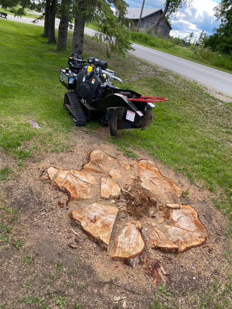 Stump Grinding for Bear Creek Tree Service LLC in Rudyard, MI