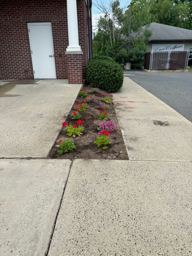 All Photos for Adams Landscaping in Springfield, MA