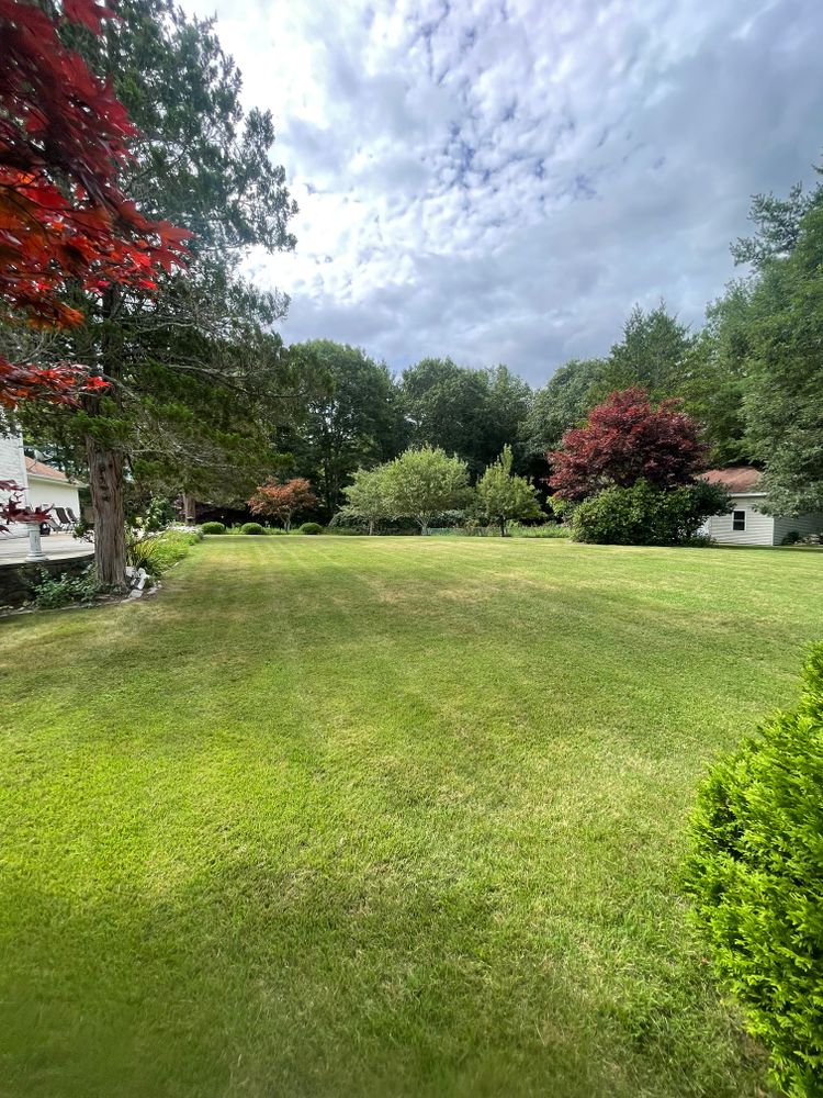 All Photos for Lucas Property Maintenance LLC in New Bedford, MA