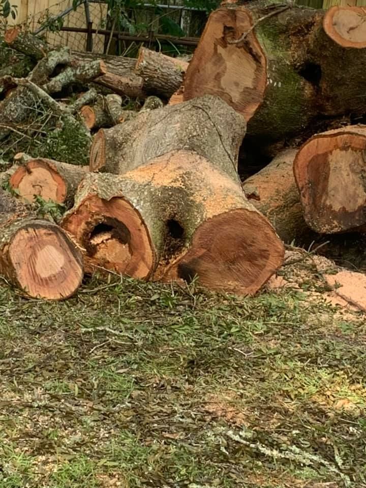 Protect your property from storm damage today with our expert Storm Services, offering prompt assessment and efficient removal of fallen trees to ensure safety and restore peace to your home. for Narrow Path Tree Service in Deland, FL